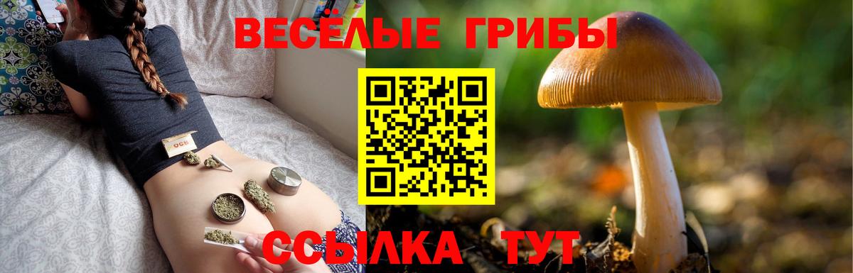 Усинск  Галлюциногенные грибы прущие грибы  Вход с VPN 